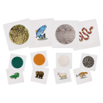 Edukacinės kortelės Eduplay Animal Feel, įvairių spalvų, 6 vnt.