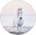 Kilimas vidaus 4Living Pony Dream 649321, įvairių spalvų, 133 cm x 133 cm