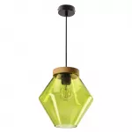 &Scaron;viestuvas lubų Candellux Lighting Brels 31-45317, E27, 1 x 40 W, žalia sp. / juoda sp.