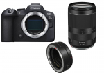 Canon EOS R6 Mark II + RF 24-240mm f/4-6.3 IS USM + EF-EOS R