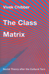 Class Matrix: Social Theory after the Cultural Turn