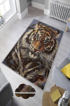 Asir kilimas Hmnt180 80x200 cm