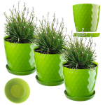 Žalios plastikinės 16cm vazonų komplektas su padėklu, 3 vnt.