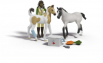 Schleich žirgų veterinarės rinkinys su kumeliukais