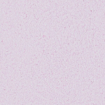 Skysti tapetai optima 061