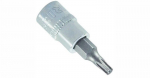 Galvutė su antgaliu Torx T40