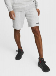 &Scaron;ortai vyrams Puma Shorts Grey 586766, pilki