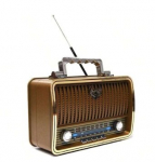 RS-01