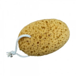 Jūržolių Kūno Kempinė