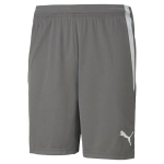 Puma Team Liga &scaron;ortai &ndash; pilki/balti &ndash; M