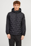 Striukė Jack & Jones