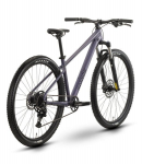 Kalnų dviratis Raymon Nayta Comp 29" violetinis/juodas