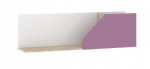 Lentyna Pax PAX-10, ruda/violetinė