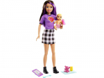 Lėlė auklė Barbie Skipper su priedais