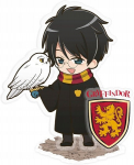 Harry Potter - Akrilas - Haris ir Hedviga