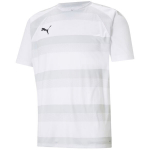 Vyri&scaron;kas mar&scaron;kinėlis Puma teamVISION Jersey baltas 704921 04