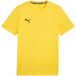 Vyri&scaron;kas mar&scaron;kinėlis Puma Team Goal Casuals Tee, geltonas, 658615 07