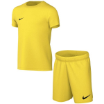 Nike DRY Park Kit Set sportinis komplektas vaikams, geltonas, CD2244 719