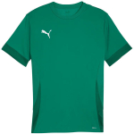 Vyri&scaron;kas mar&scaron;kinėlis Puma teamGoal Matchday Jersey žalias 705747 05, 2XL