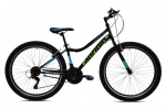Kalnų dviratis Capriolo Diavolo 600, 26", juodas/žalias