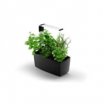 Tregren Kitchen Garden T6