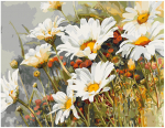 Pie&scaron;imo rinkinys Ramunėlių laukas 40x50