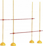 Treniruočių barjeras Spartan