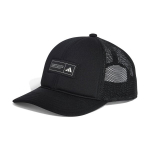 Adidas SNAP TRUCK kepurė JE5658