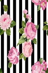 Asir kilimas Exfab315 100x150 cm