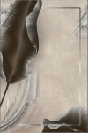 Asir kilimas Els2435 - 4 80x120 cm