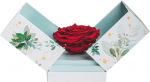 Amžina rožė dėžutėje Bloom&Stories