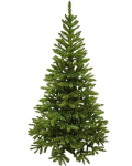 Dirbtinė kalėdinė eglutė northern fir pvc, 220 cm