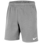 &Scaron;ortai vyrams Nike Park 20 Fleece Short M CW6910 063, pilki