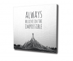 Reprodukcija Always believe in the impossible