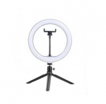 Ring LED 10"