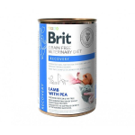 Brit GF Veterinary Diets suaugusiems &scaron;unims ir katėms ėriena su žirniais Recovery, 0.4 kg