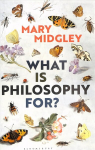 What Is Philosophy for?