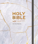 NIV Bible for Journalling and Verse-Mapping: Kintsugi
