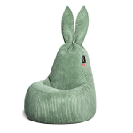 Qubo&trade; Daddy Rabbit Forest FEEL FIT