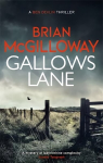 Gallows Lane: An ex con and drug violence collide in the borderlands of Ireland...