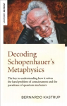 Decoding Schopenhauer's Metaphysics: The key to understanding how it solves the hard problem of consciousness and the paradoxes of quantum mechanics