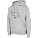 Džemperis berniukams 4F, pilkas