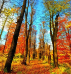 Deimantinio paveikslo-mozaikos 5D rinkinys (akučių klijavimas) 30x30 cm DK31102