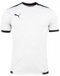 Mar&scaron;kinėliai vyrams Puma teamLiga Jersey 704917 04, balti