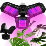 Gardlov 788023
