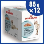 Konservai katėms Royal Canin HAIRBALL CARE, 12x85g