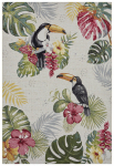 Hanse Home kilimas 105608 240x340 cm