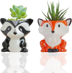 Mini vazonai keramikiniai vazonai keraminiai sukulentų vazonai kawaii vazonai mieli sodo vazonai sukulentams namų biuro stalo lentynos langų dekoras (civet formos, Fox formos)