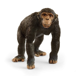 Figūrėlė &Scaron;impanzė Schleich Wild Life