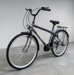 Miesto dviratis Strow 28", pilkas